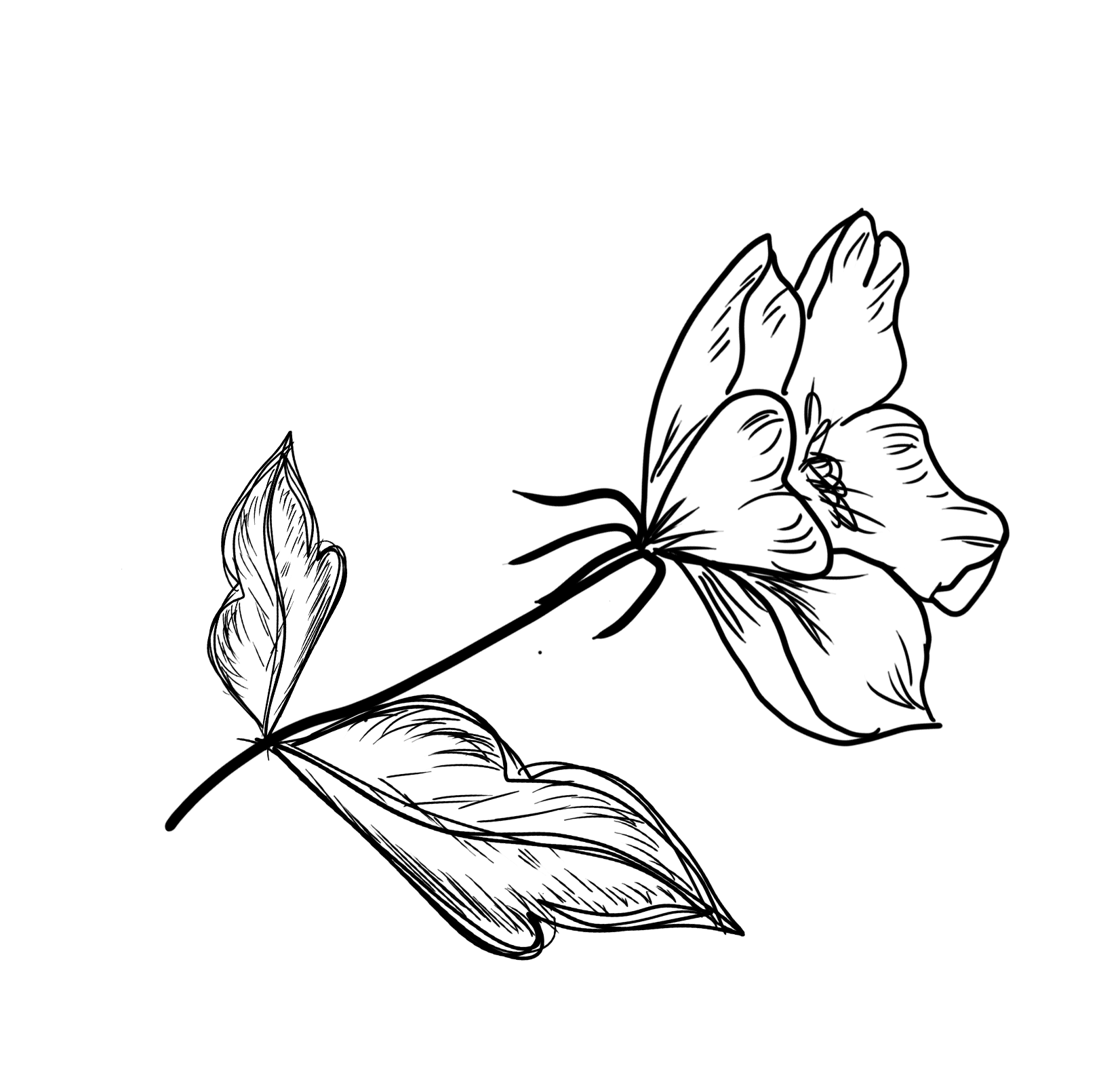 Logo for Tokomaru Early Childhood Centre